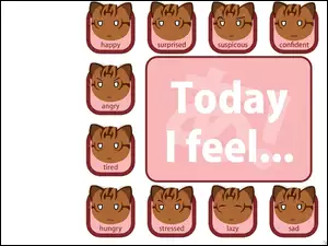 Azumanga Daioh, kot, uczucia, twarze