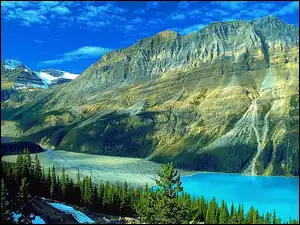 Lato, Lasy, Kanada, Jezioro Peyto Lake, Park Narodowy Banff, Góry