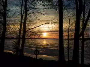 Drzewa, Jezioro, Zachód słońca