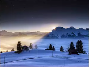 Słońca, Góry, Drzewa, Zima, Domy, Szwajcaria, Promienie, Alpy