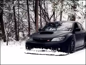 Las, Czarny, Subaru, Samochód, Śnieg