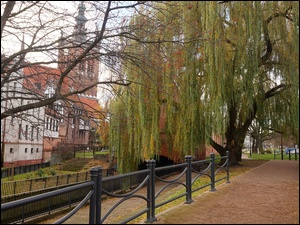 Kamienice, Drzewa, Gdańsk, Wierzba, Zabytkowe, Alejka