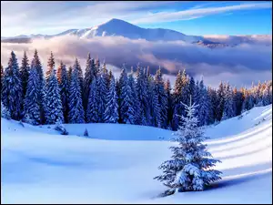 Zima, Góry, Drzewa, Lasy, Chmury