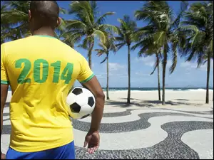 Świata, Brazylia, Piłka, Mężczyzna, 2014, Palmy, Mistrzostwa