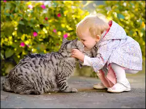 Kot, Pocałunek, Dziecko, Przytulanie