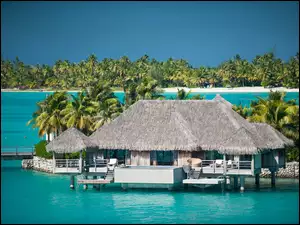 Bora Bora, St.Regis, Palmy, Hotel, Ocean