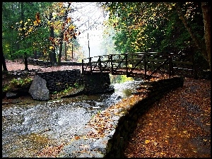 Park, Jesień, Rzeczka, Most