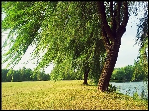 Rzeka, Łąka