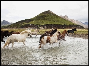 Konie, Rzeka