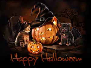 Koty, Halloween, Dynie