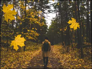 Jesienny spacer w parku