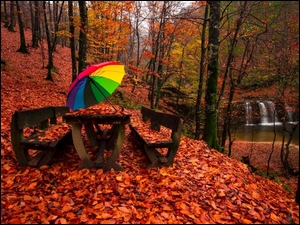 Kolorowy parasol na ławce w jesiennym lesie przy rzece