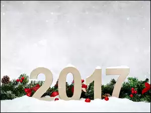 Nowy Rok 2017 na śniegu ozdobiony gałązkami