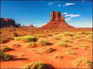 Pustynny krajobraz z skałami w Arizonie USA