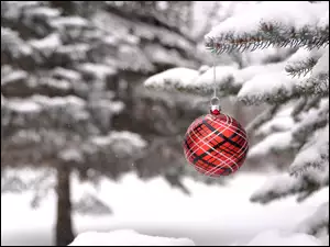 Czerwona bombka na zaśnieżonej gałązce świerku