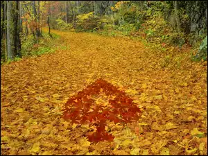 Logo PokerStars ułożone z jesiennych liści na leśnej drodze