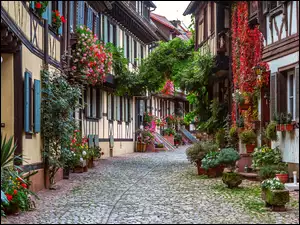 Kwiaty, Niemcy, Domy, Gengenbach, Ulica