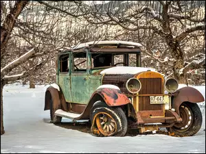Wrak samochodu Old Car pod drzewami w śniegu