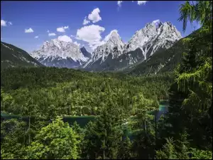 Zakole rzeki w lesie z widokiem na góry