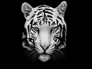 Graficzna głowa tygrysa na czarnym tle