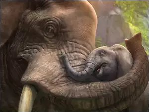 Słoniątko tulone przez matkę słonice