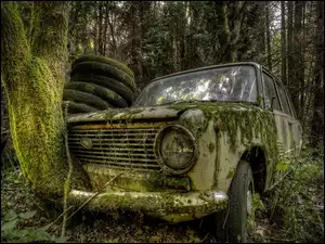 Opuszczony stary samochód porosnięty mchem i trawą