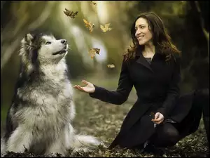 Kobieta i pies Alaskan Malamute obserwują spadające liście