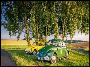 Dwa Volkswageny Garbus stoją pod drzewami