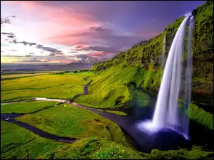 Wodospad w Islandii spływa ze skały porośniętej roślinnością