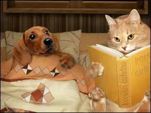 Kot czyta bajkę choremu psu