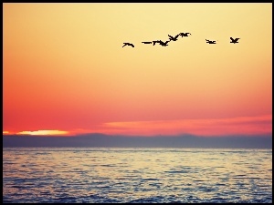 Ptaki lecą nad jeziorem o zachodzie słońca