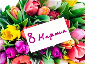 Różnokolorowe tulipany z życzeniami na Dzień Kobiet