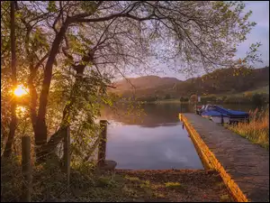 Pomost nad jeziorem obok drzew w promieniach słońca