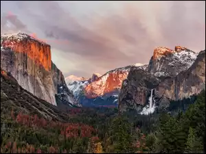 Kalifornijski Park Narodowy Yosemite z drzewami porastającymi góry