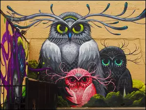 Zapatrzone sowy w graffiti na ścianie