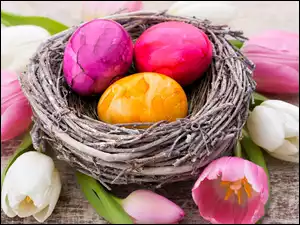 Wielkanocna dekoracja z pisankami w gnieździe i tulipanami