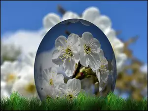 Wiosenne białe kwiaty w kuli w grafice 2D