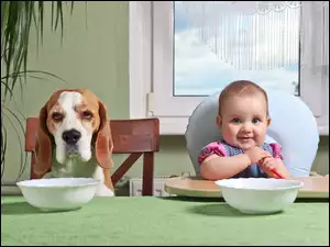 Dziecko i pies przy stole czekają na jedzenie