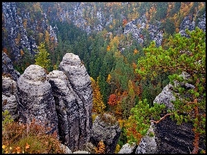 Krajobraz zalesionych gór Połabskich w Parku Narodowym Saskiej Szwajcarii na terenie Niemiec