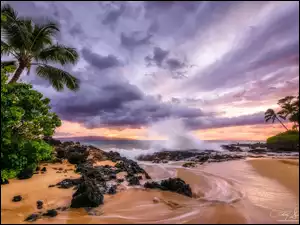 Wyspa Maui na Hawajach z plażą i palmami