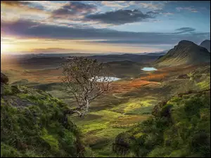 Krajobraz wzgórza Quiraing w Szkocji o świcie
