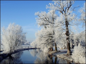 Zima, Drzewa, Rzeka, Oszronione