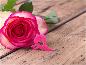 Róża i ptaszek Walentynka z serduszkiem