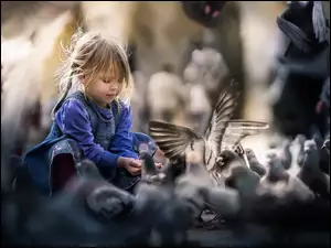 Mała dziewczynka karmi gołębie