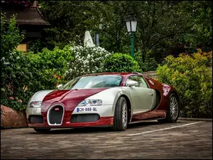 Bugatti Veyron, Dom, Auto, Posesja
