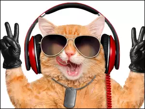 Kot z zabawną miną słuchający muzyki ze słuchawkami w okularach przeciwsłonecznych