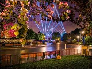 Miasto nocą, Disneyland, Ulica, Światła