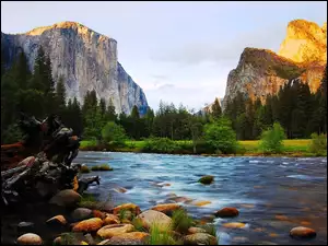 Góry, Las, Stan Kalifornia, Kamienie, Stany Zjednoczone, Szczyt El Capitan, Park Narodowy Yosemite, Rzeka