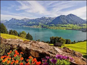 Gory, Szwajcaria, Jezioro, Panorama