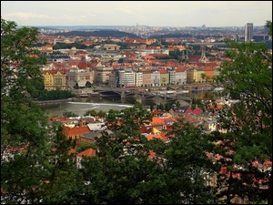Lotu, Panorama, Praga, Miasta, Z, Ptaka